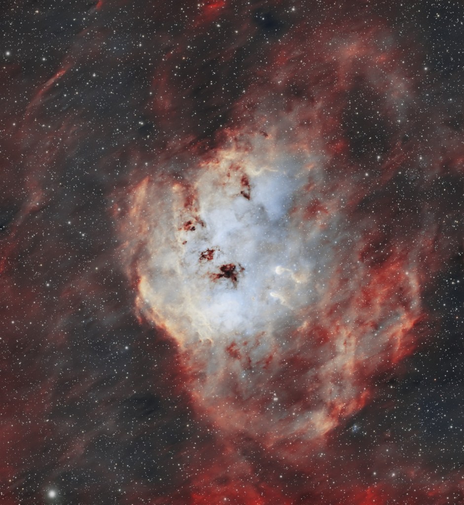 Astrophotography of the Tadpole Nebula, glowing with red hydrogen gas and long dark filaments resembling tadpoles.